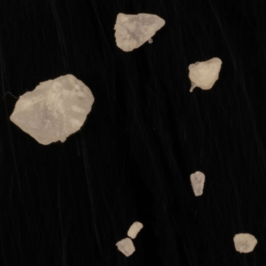 N-Ethylpentedron, erworben als Mephedron, 06.02.2024 (Berlin)