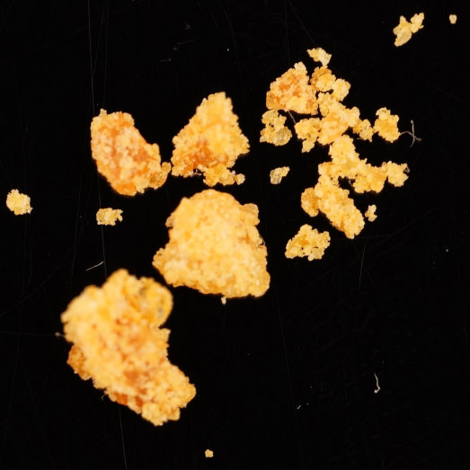 DMT, verunreinigt mit NMT, 11.12.2023 (Berlin)