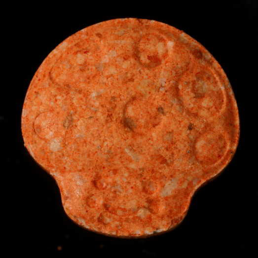 Pilz, hochdosiertes MDMA, 13.05.2024 (Berlin)