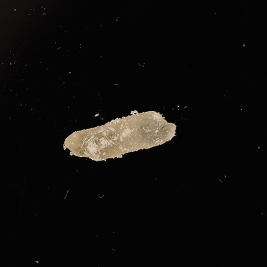 2-MMC, erworben als 3-MMC, 24.06.2024 (Berlin)