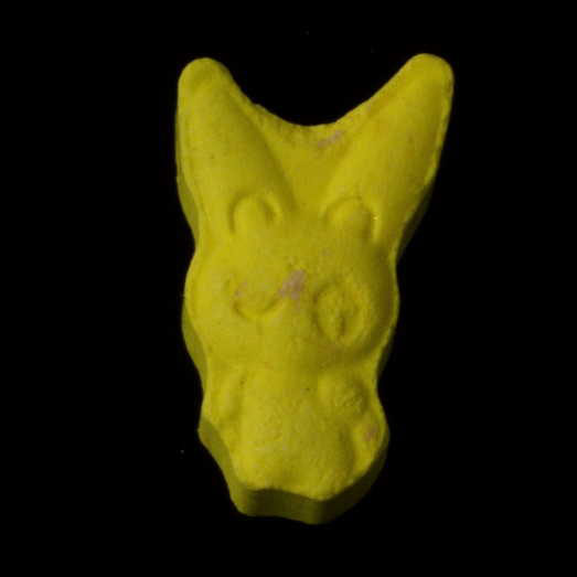 Plusle, 2C-B, 20.01.2025 (Berlin)