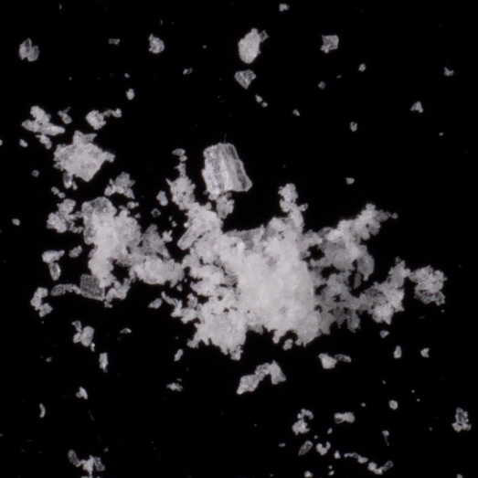 2-MMC und 3-MMC, erworben als 4-MMC (Mephedron), 23.01.2024 (Berlin)