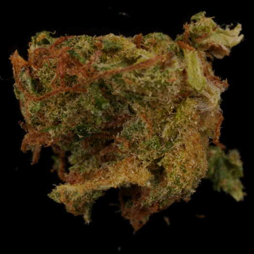 Cannabis, verunreinigt mit dem synthetischen Cannabinoid MDMB-4en-PINACA, 23.04.2024 (Berlin)