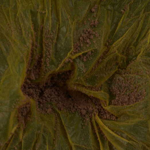 Heroin Pulver, komplex zusammengesetzt, mit niedrigem Diamorphin-Gehalt, 10.09.2024 (Berlin)