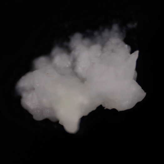 Amphetamin und Koffein (Speed), verunreinigt mit DPIA, erworben als Amphetamin, 14.01.2025 (Berlin)