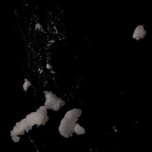 Amphetamin und Koffein (Speed), verunreinigt mit DPIA, erworben als Amphetamin, 07.01.2025 (Berlin)